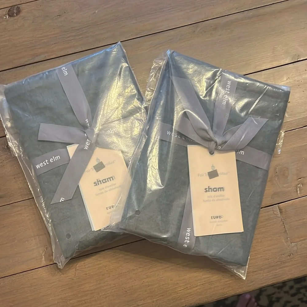 West Elm European Linen Euro Shams: set of 2